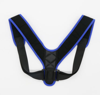 Everyday Posture Pro