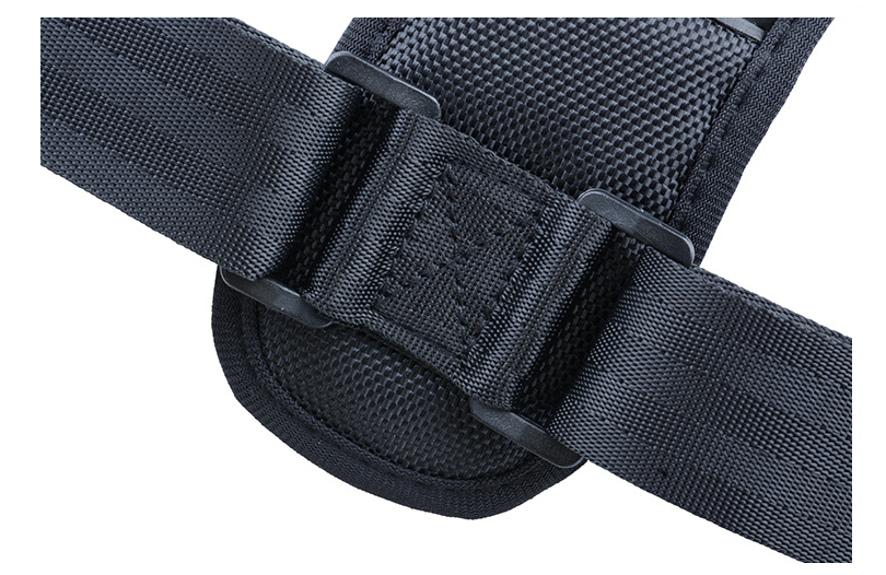 Everyday Posture Pro